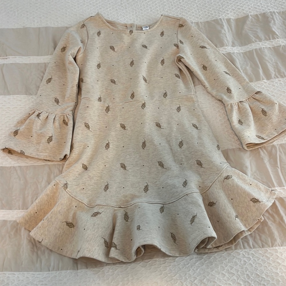 Janie and Jack feather dress